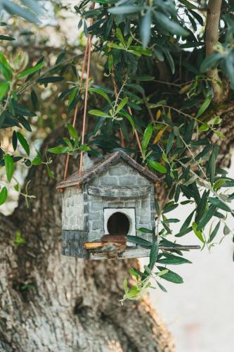 Agriturismo La Pimpinella di Semifonte